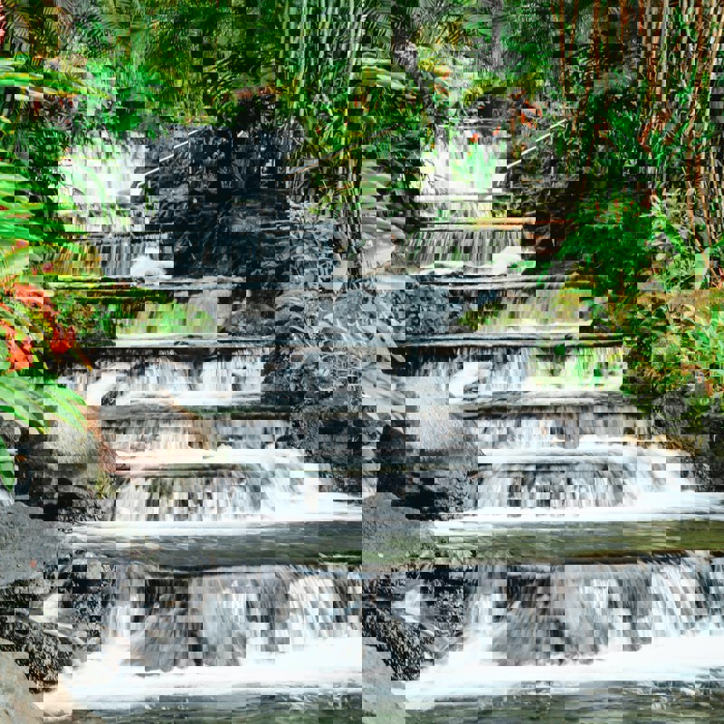 ezgi-kimball-JG8jCMEFhDg-unsplash