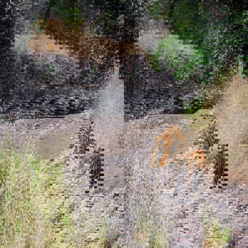 yash-gupta-2dfY8KJtQ68-unsplash