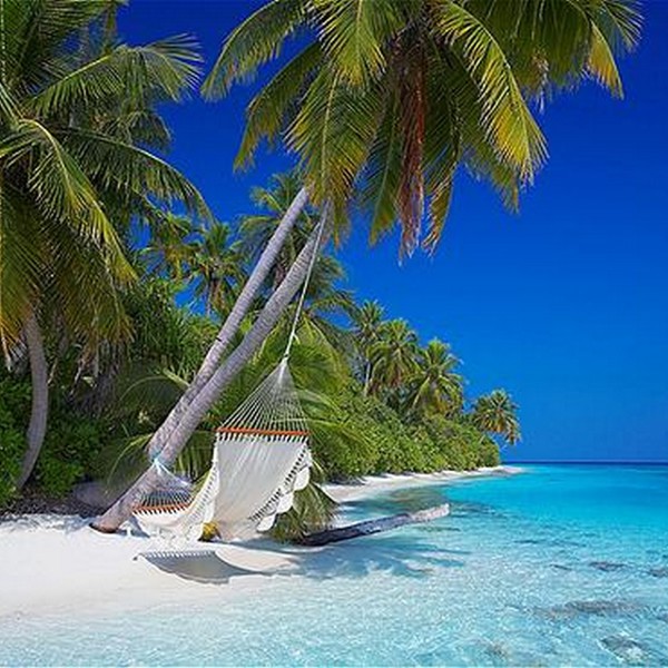 Palmer og strand på madiverne