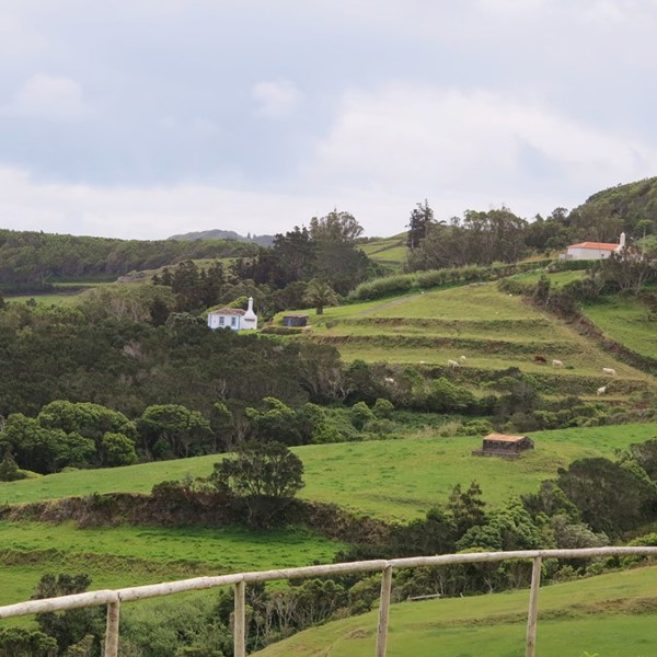 De grønne bjerge på Santa Maria