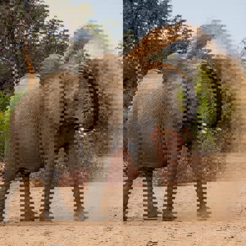 alan-j-hendry-sJQTvXc7mNY-unsplash