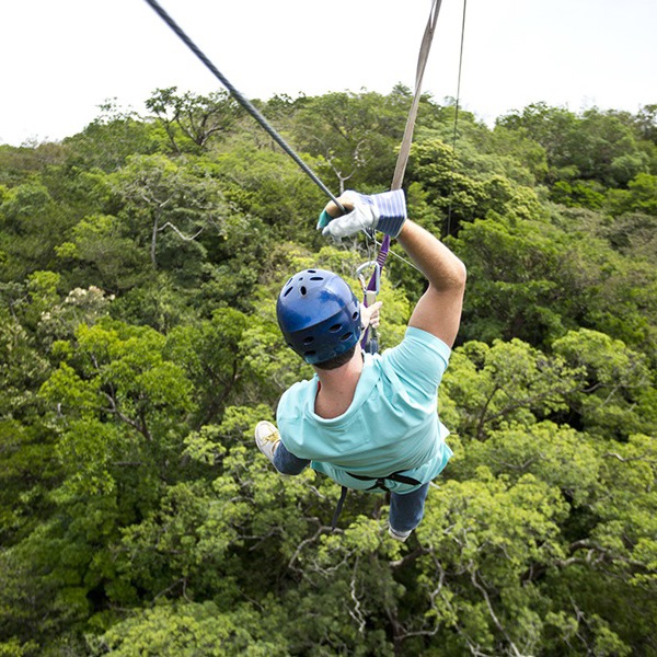 Fantastisk udsigt over trækronerne i Monte Verde