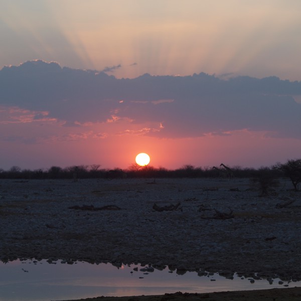 Flot solnedgang, Etosha, Namibia