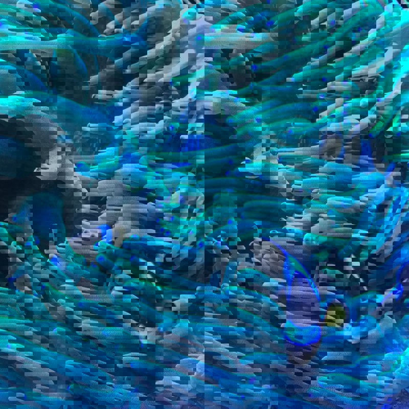 eva-tillmann-INyRx2zfZJw-unsplash