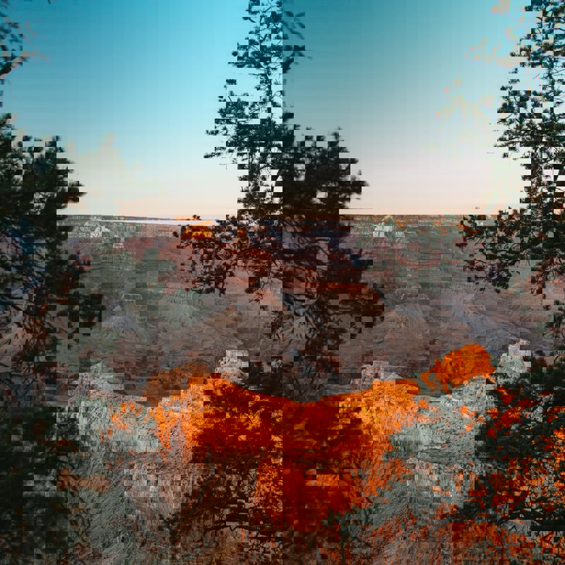 parsa-mahmoudi-xiOiFxyKyMU-unsplash