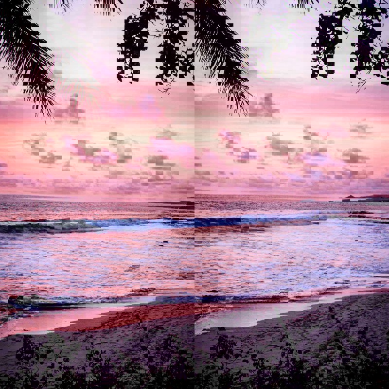 sam-hull-KCJKsJPe9pQ-unsplash