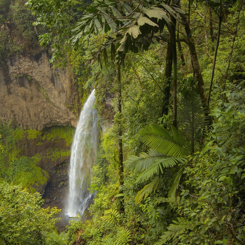 La Fortuna vandfaldet ved Arenal, Costa Rica