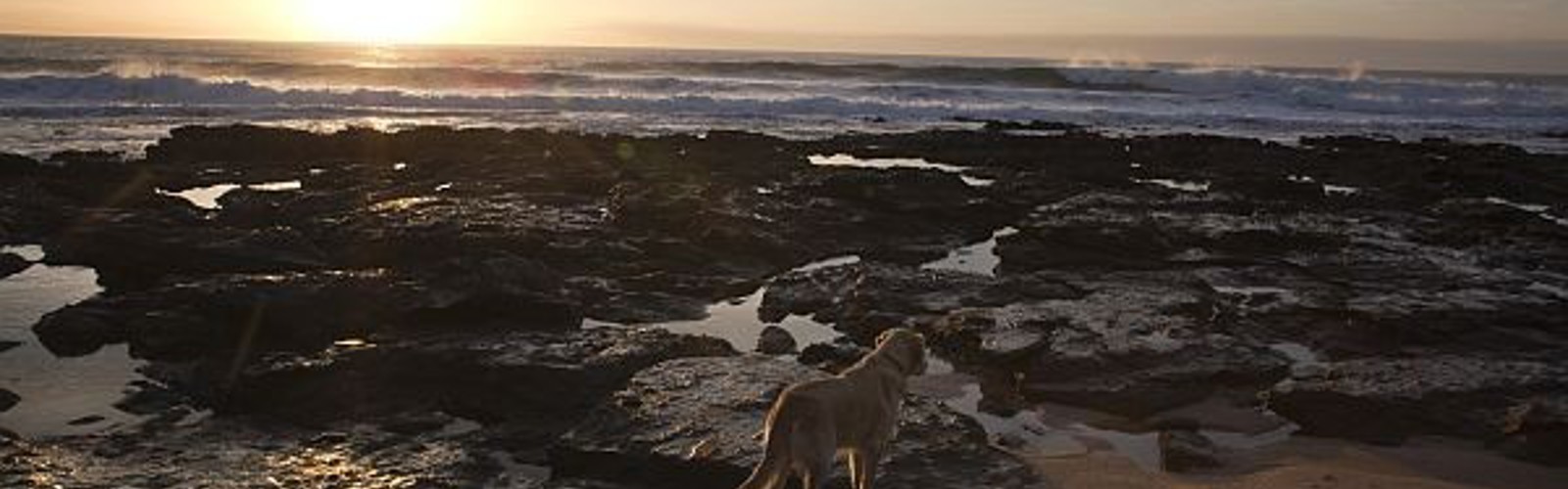 Jeffreys Bay, Sydafrika