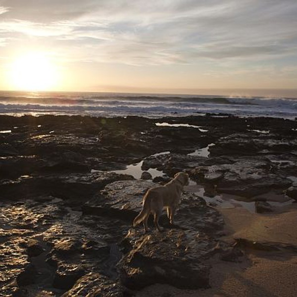 Der er masser af uforstyrrede pletter langs Garden Route, Sydafrika