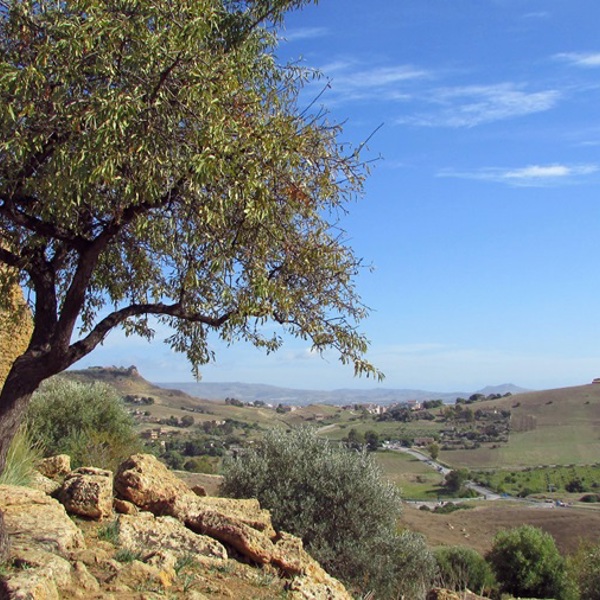 Udsigt-ved-Agrigento