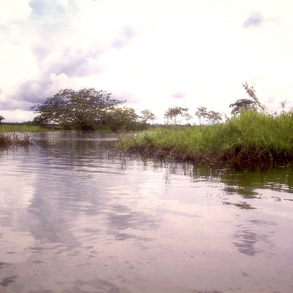 caño negro
