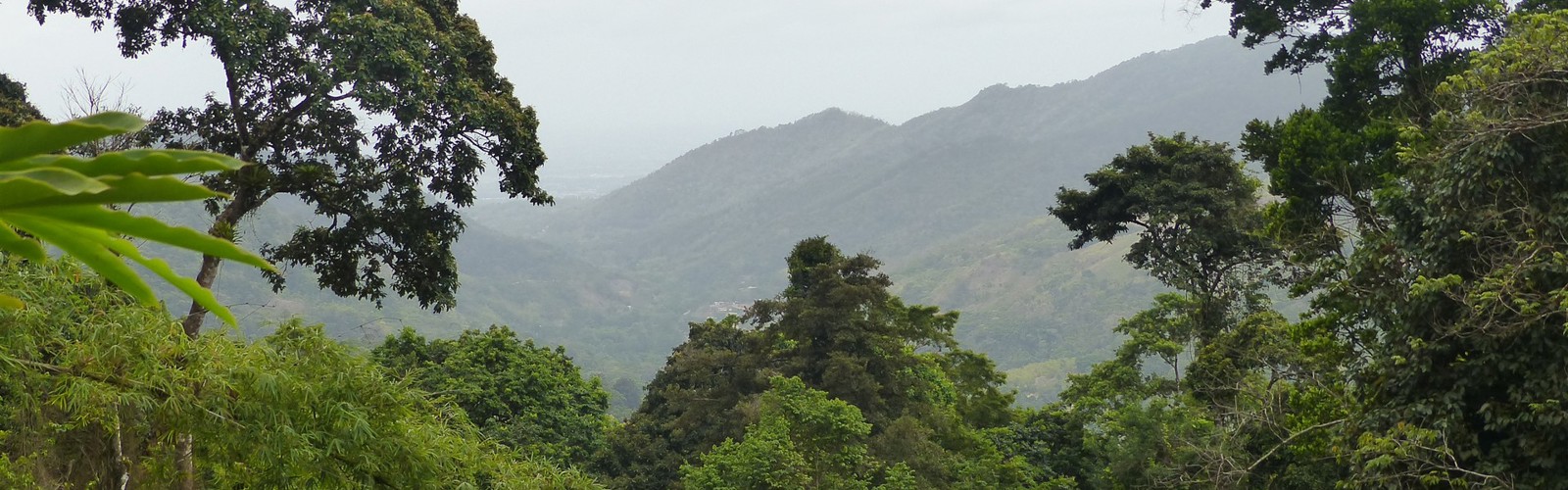 Photo 25-05-14 22.47.22