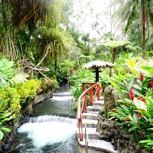 Fantastiske omgivelser ved Tabacons kilder