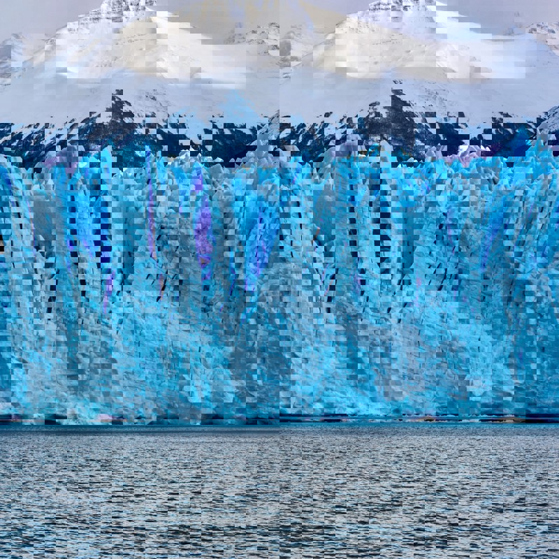 adriana-lorena-benavides-estrada-afyJnOzcCm4-unsplash