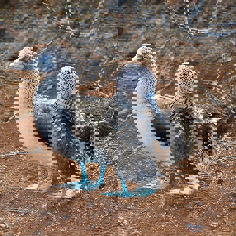 andy-brunner-VrHA48aTsUQ-unsplash