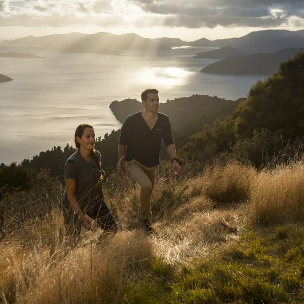 Queen Charlotte Track, Picton, New Zealand