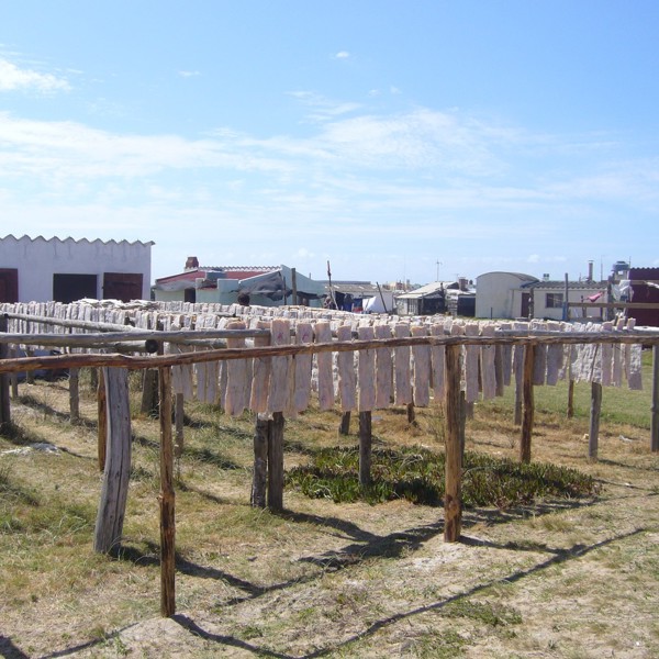 tørrede fisk i capo polonio