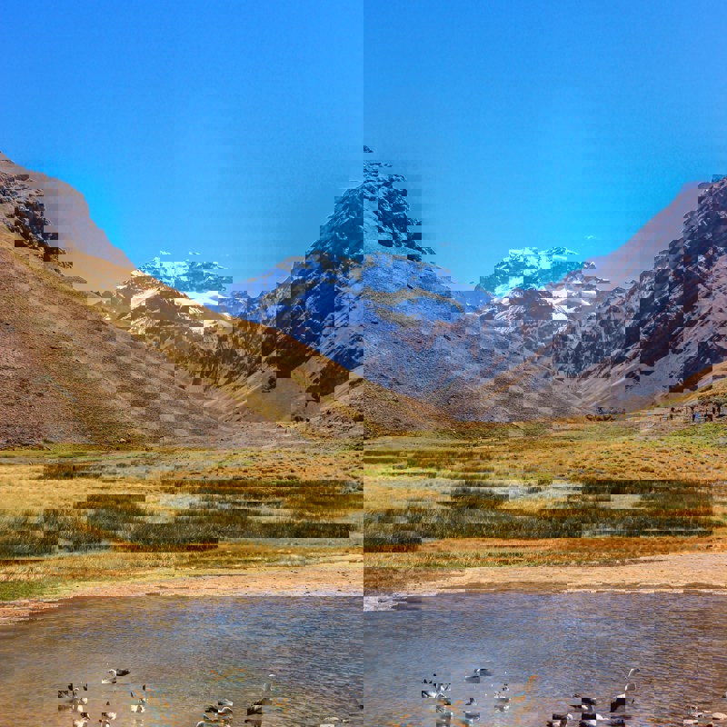 claudio-mota-PdMSFr9lvtM-unsplash