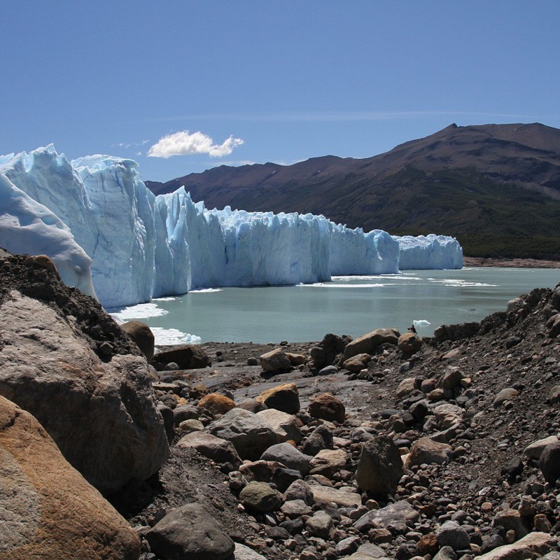 calafate-1079688_1280