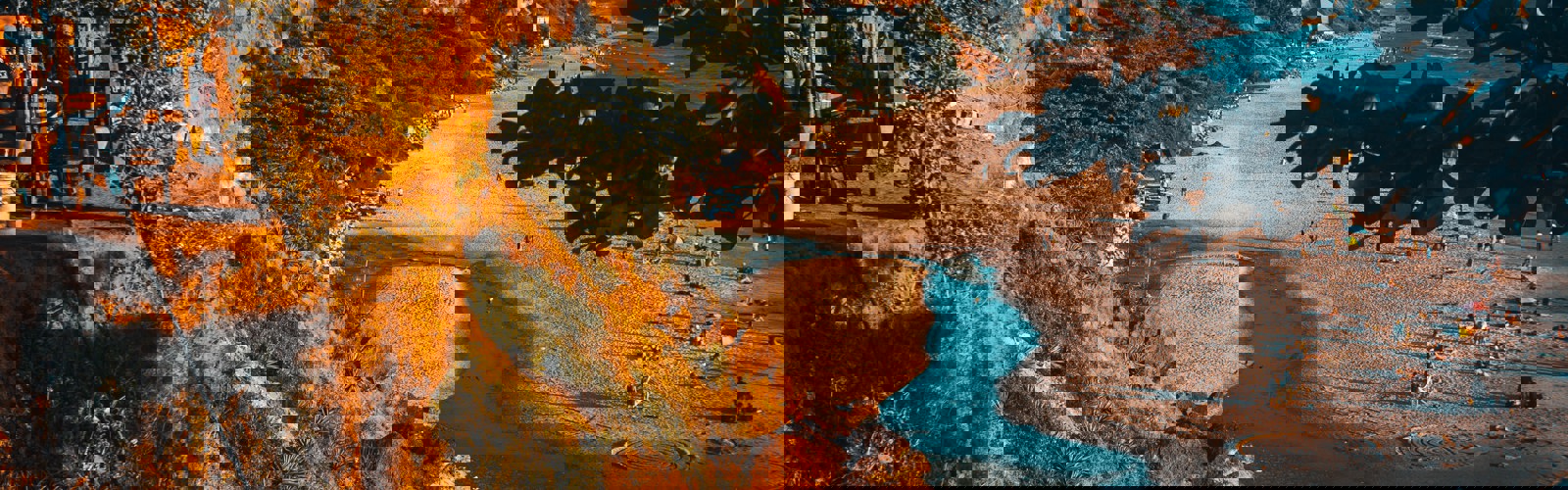 raimond-klavins-1XHzOD9zB9U-unsplash