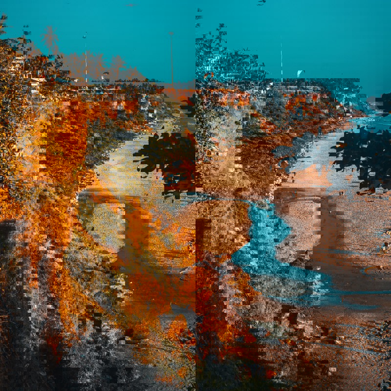 raimond-klavins-1XHzOD9zB9U-unsplash