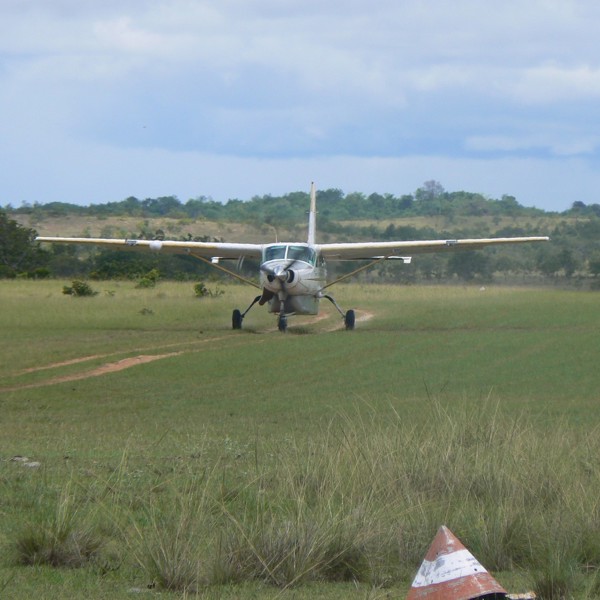 ankomst til savannen