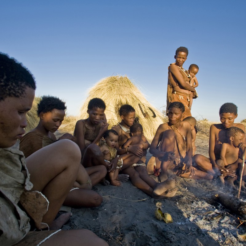 Grasslands bushmen