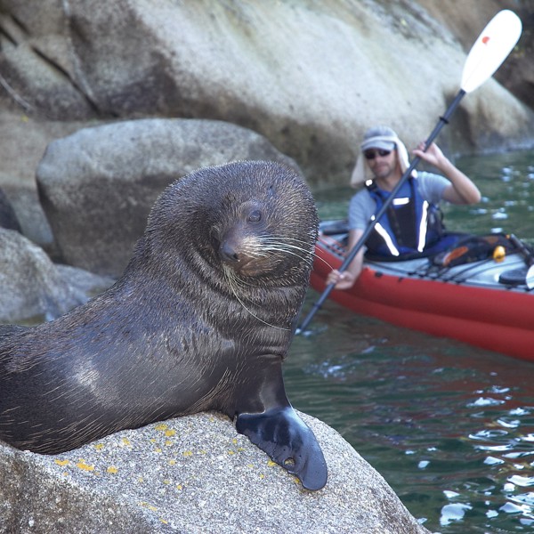 Abel Tasman National park, New Zealand