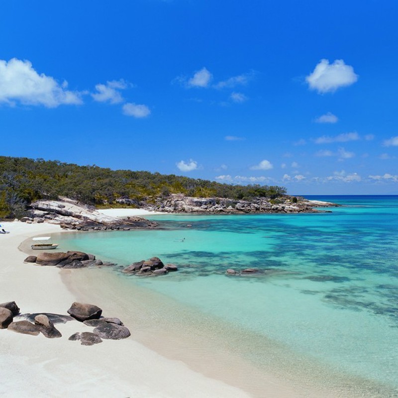 I havet - midt på Great Barrier Reef - i det tropiske nordlige Queensland ligger en ganske særlig ø; Lizard Island. Kaptajn Cook gav øen sit navn, da han sejlede forbi i 1770. Det eneste, han så på øen, var et par firben (lizards) - altså blev det til Liz