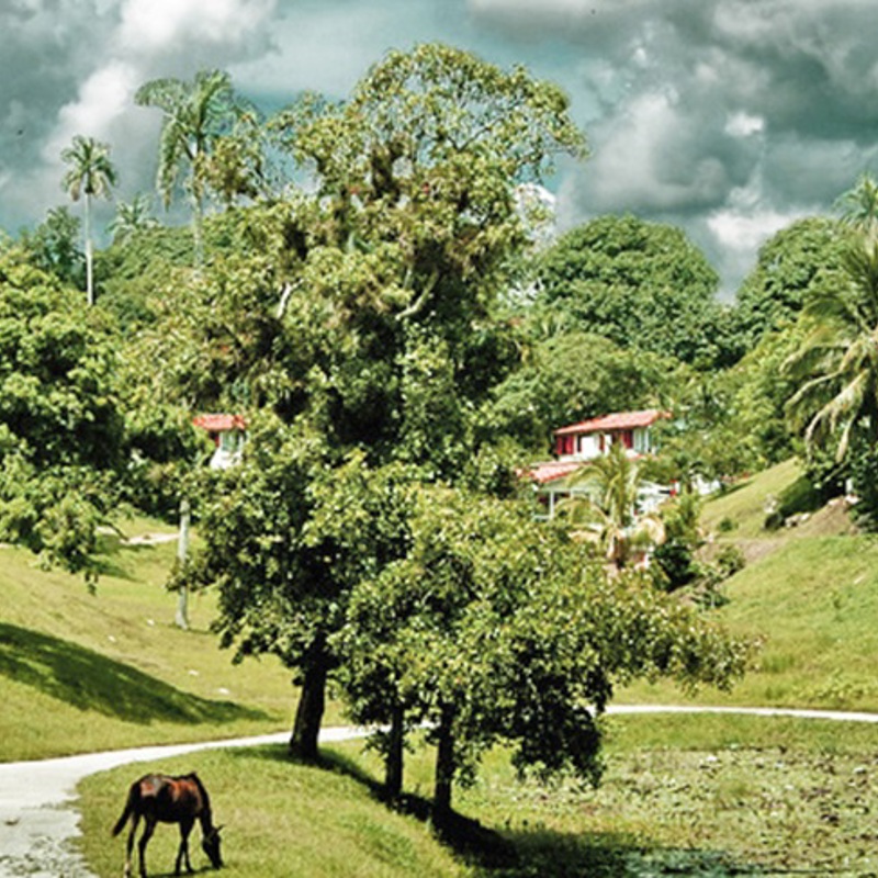 pakkerejser til Cuba med natur og oplevelser