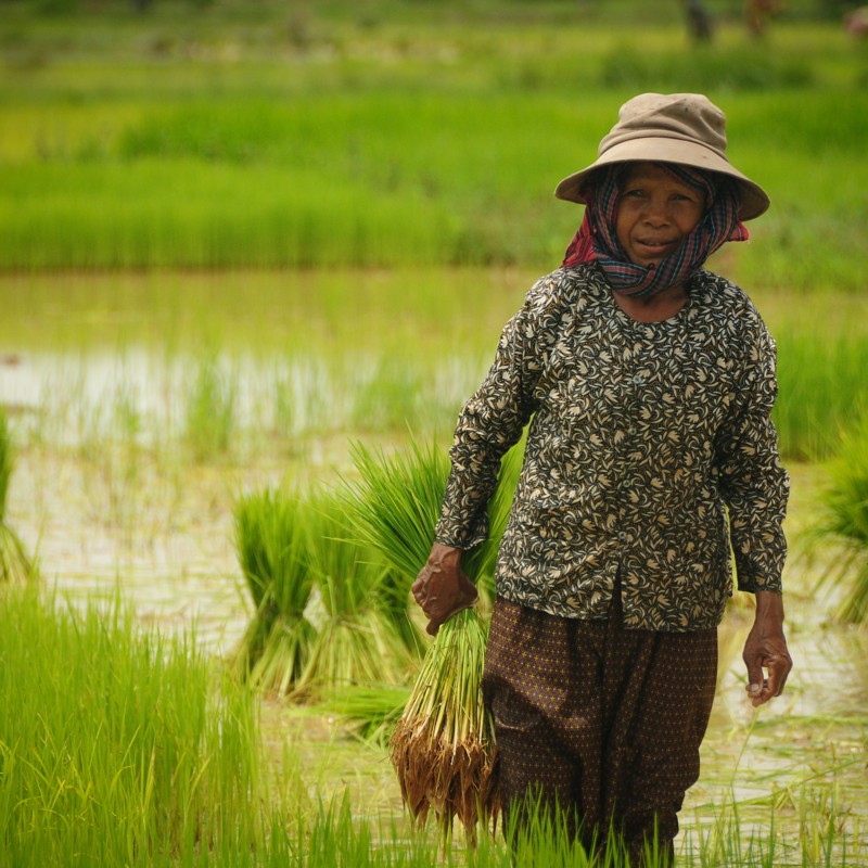 På vej hjem fra dagens arbejde, Siem Reap, Cambodia