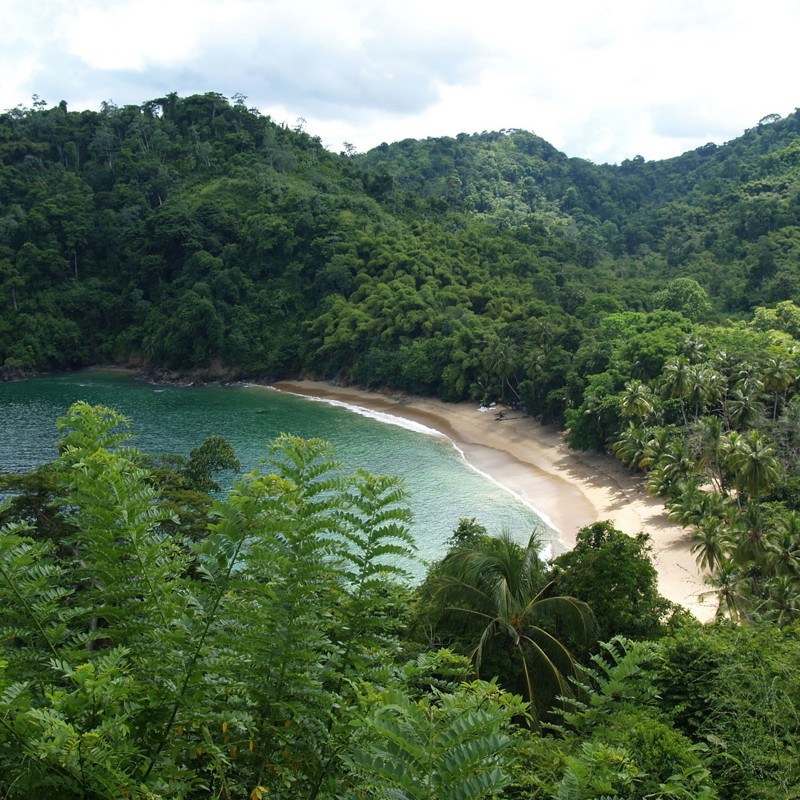 Rejser til Trinidad og Tobago