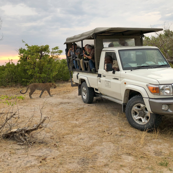 Jeep Safari med Leopard