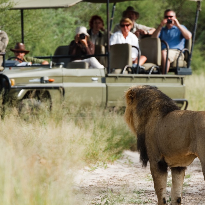 Deception game drive