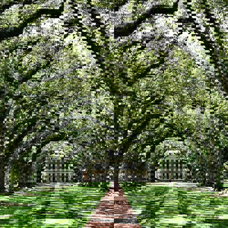 dirk-spijkers-PoQcfmoWoAA-unsplash