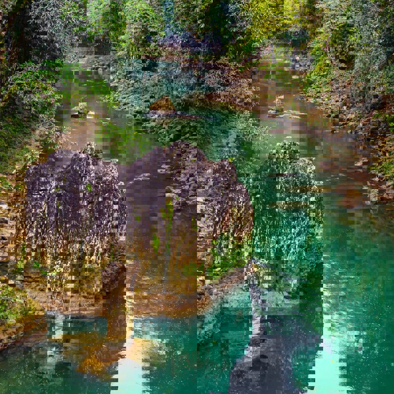 alexander-schimmeck-q1ozzDALUbU-unsplash