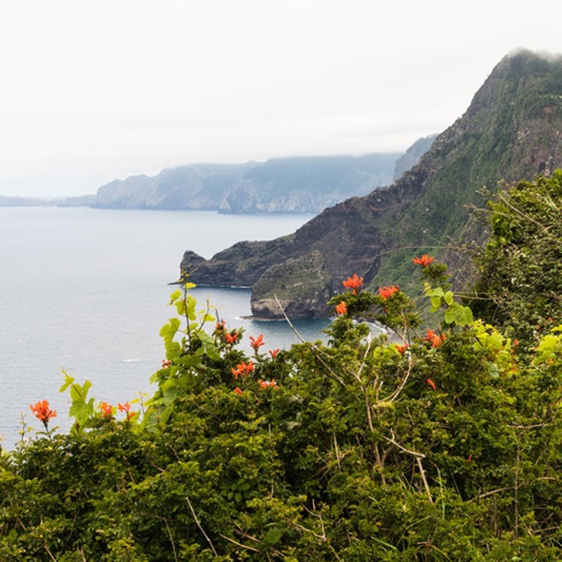 Madeiras-frodige-kyst