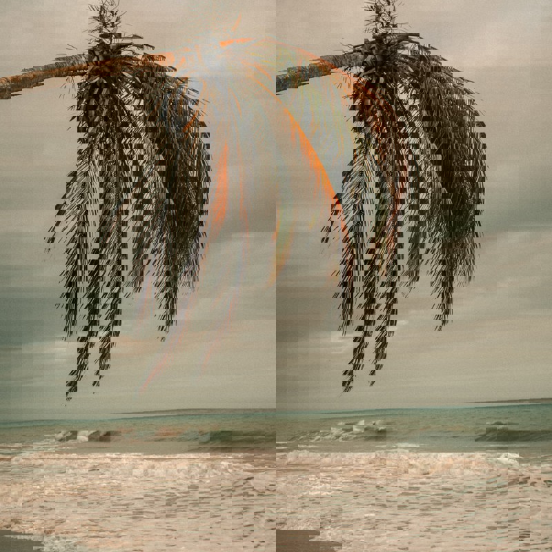 david-restrepo-fLqILBD-w_0-unsplash