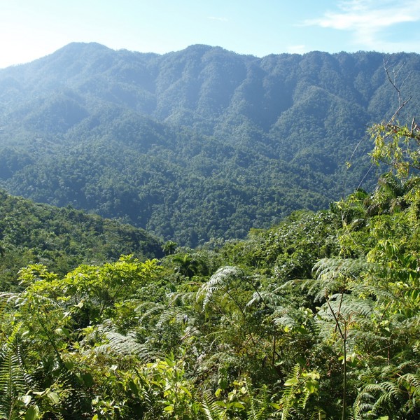 comendancia de la plata