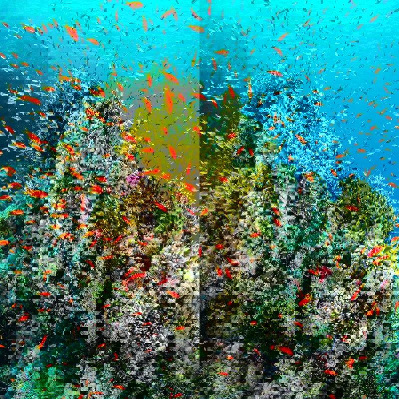 getty-images-o9iSB_smxI4-unsplash