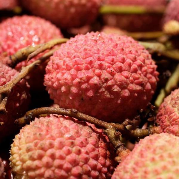 Eksotiske frugter i Mauritius