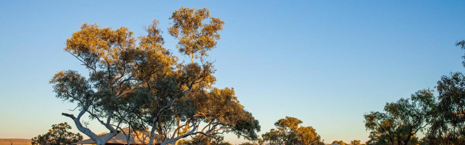 karijini-eco-retreat-karijini-national-park1