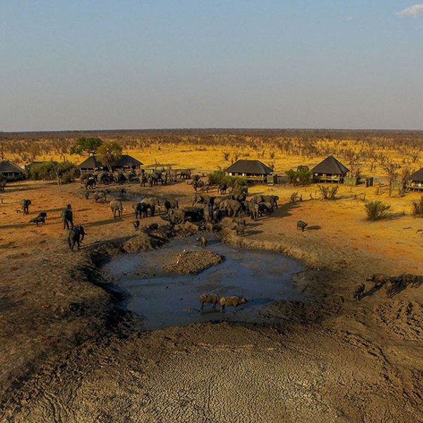 Udsigt til elefanter i zimbabwe på Nehimba Lodge