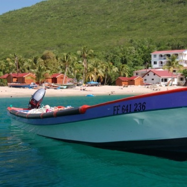 Båd i vandet, små huse på stranden og palmer på Guadeloupe