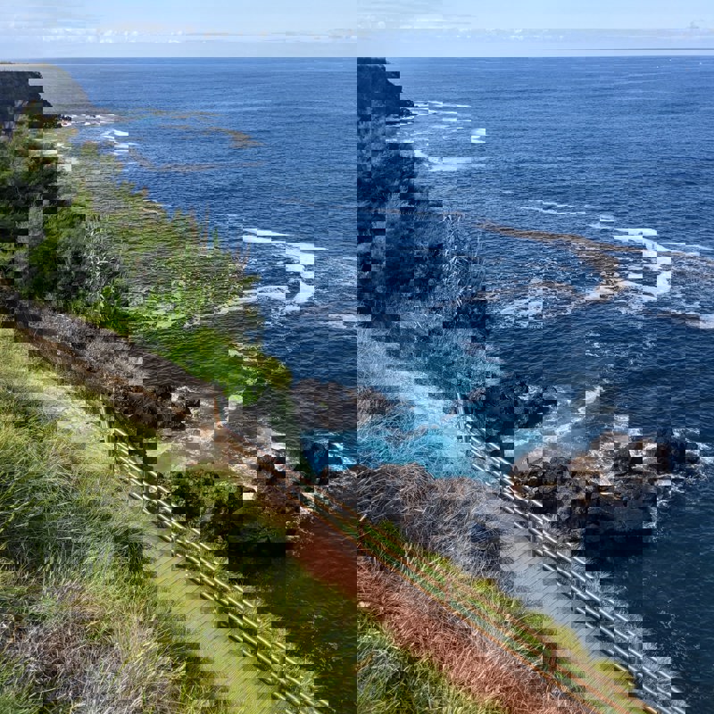 david-magalhaes-Q6gSnmk_6oU-unsplash