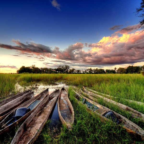 Mokoro, Okavango deltaet, Botswana