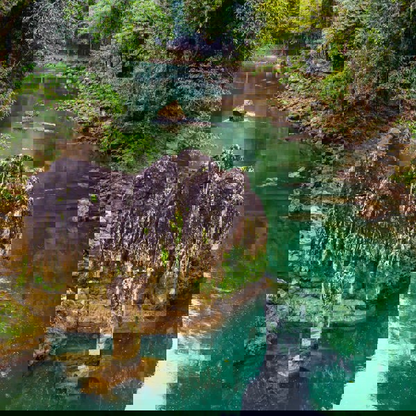 Små floder snor sig gennem junglen i Guatemala