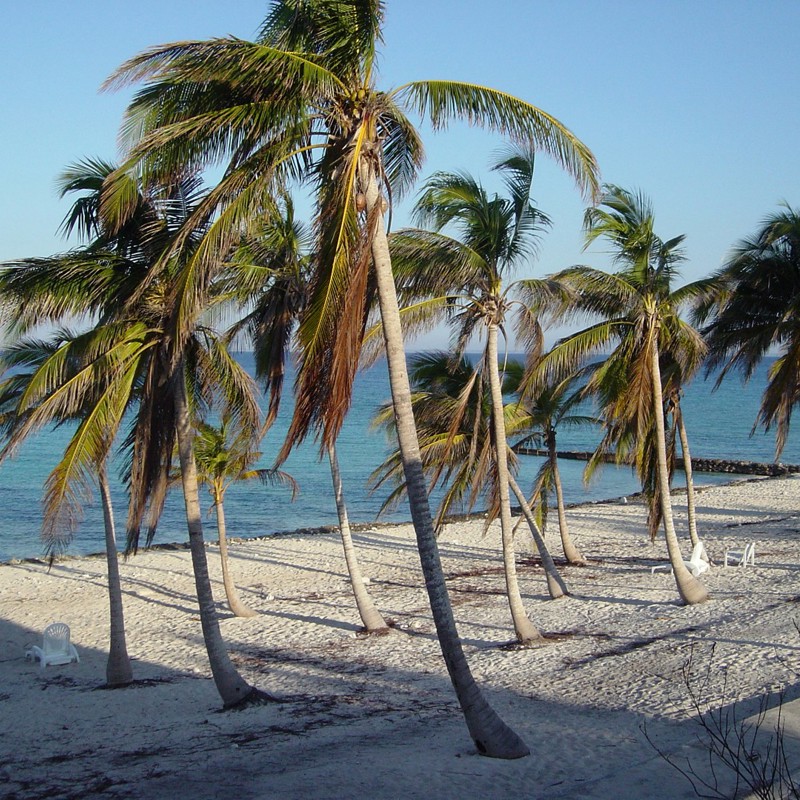 maria la gorda strand
