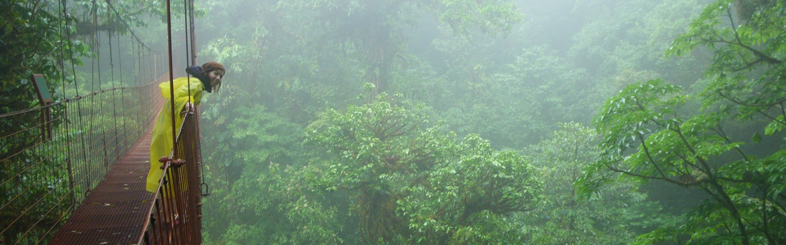 Det er godt med et regnslag i tågeregnskoven. MOnteverde, Costa Rica