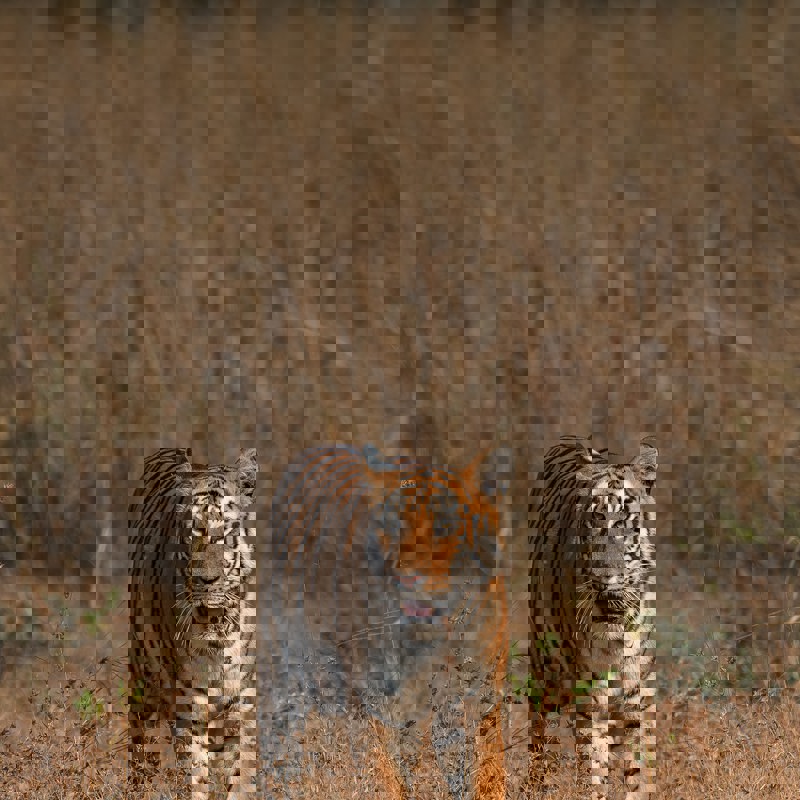 keyur-nandaniya-IOvOeZRGanM-unsplash